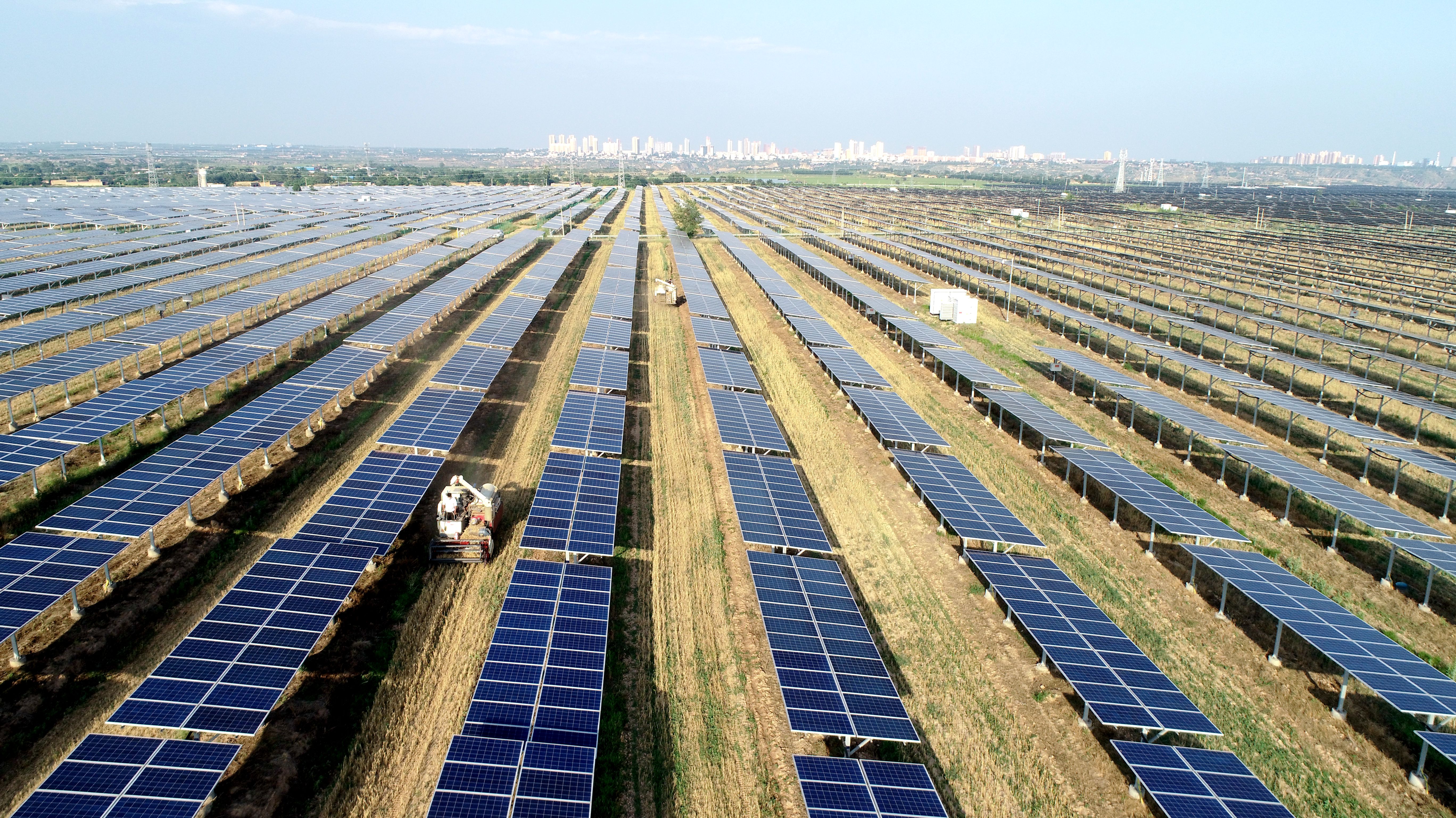 2.大唐澄城安里10萬千瓦農(nóng)光互補(bǔ)光伏電站采取“農(nóng)光互補(bǔ)”模式，不僅大大提高土地綜合利用率，還帶動(dòng)當(dāng)?shù)卮迕裨诩议T口就業(yè)，促進(jìn)農(nóng)民增收。任永紅攝 .jpg