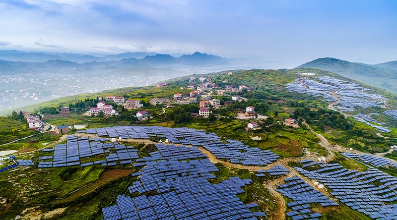 1722579369417051302.jpg 1722579369417051302.jpg